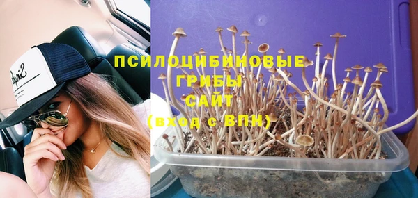 шишки Волоколамск