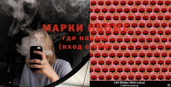 ГАЛЛЮЦИНОГЕННЫЕ ГРИБЫ Вязьма
