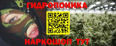 шишки Обнинск