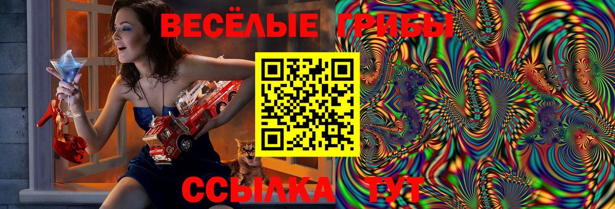 Псилоцибиновые грибы Psilocybe Снежинск